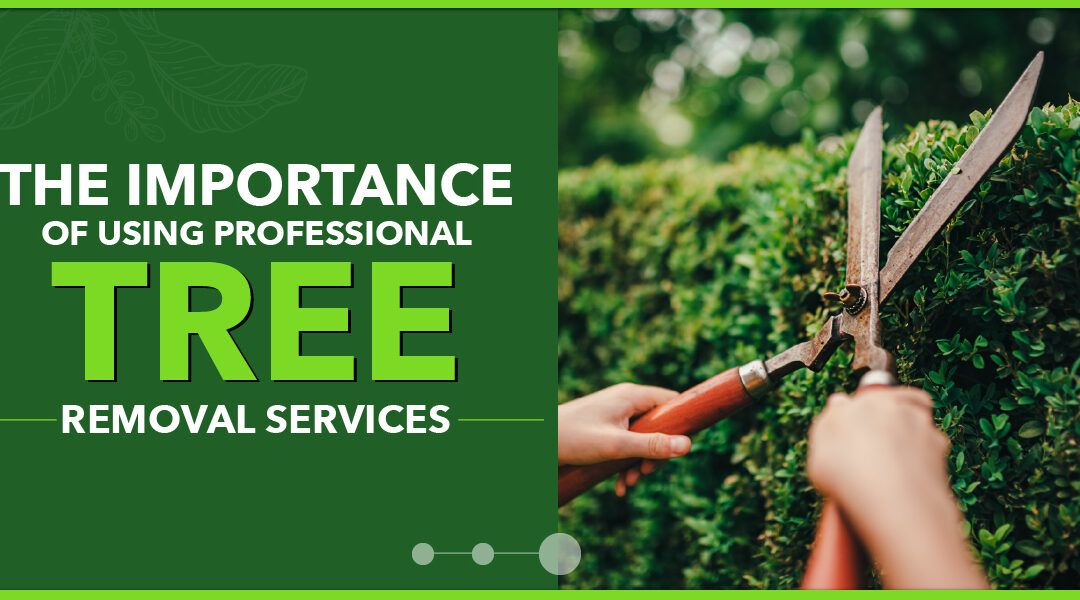 Professional Tree Removal Services