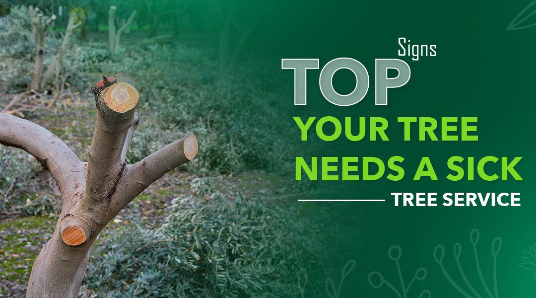 Top Signs Your Tree Needs a Sick Tree Service