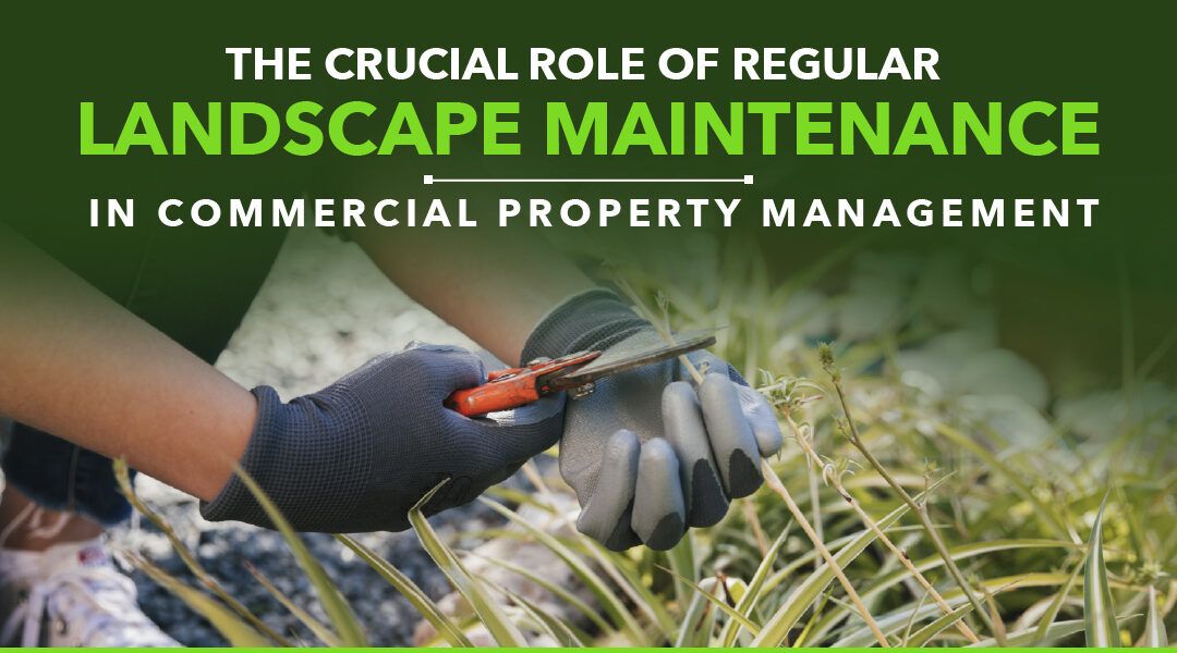 The Crucial Role of Regular Landscape Maintenance in Commercial Property Management