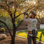 Arborist caring for heat-damaged tree in Arizona yard during fall