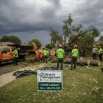 Storm-damaged trees in Scottsdale and Tempe, Arizona