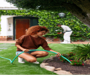 Tree risk assessment in Scottsdale by Branch Management Tree Services, 480-970-1315