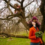 How to Keep Trees Safe from Storm Damage this Valentine's Day?