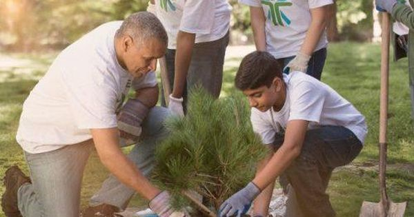 AZ Tree Doctor team planning a tree trimming schedule with a Phoenix property manager.
