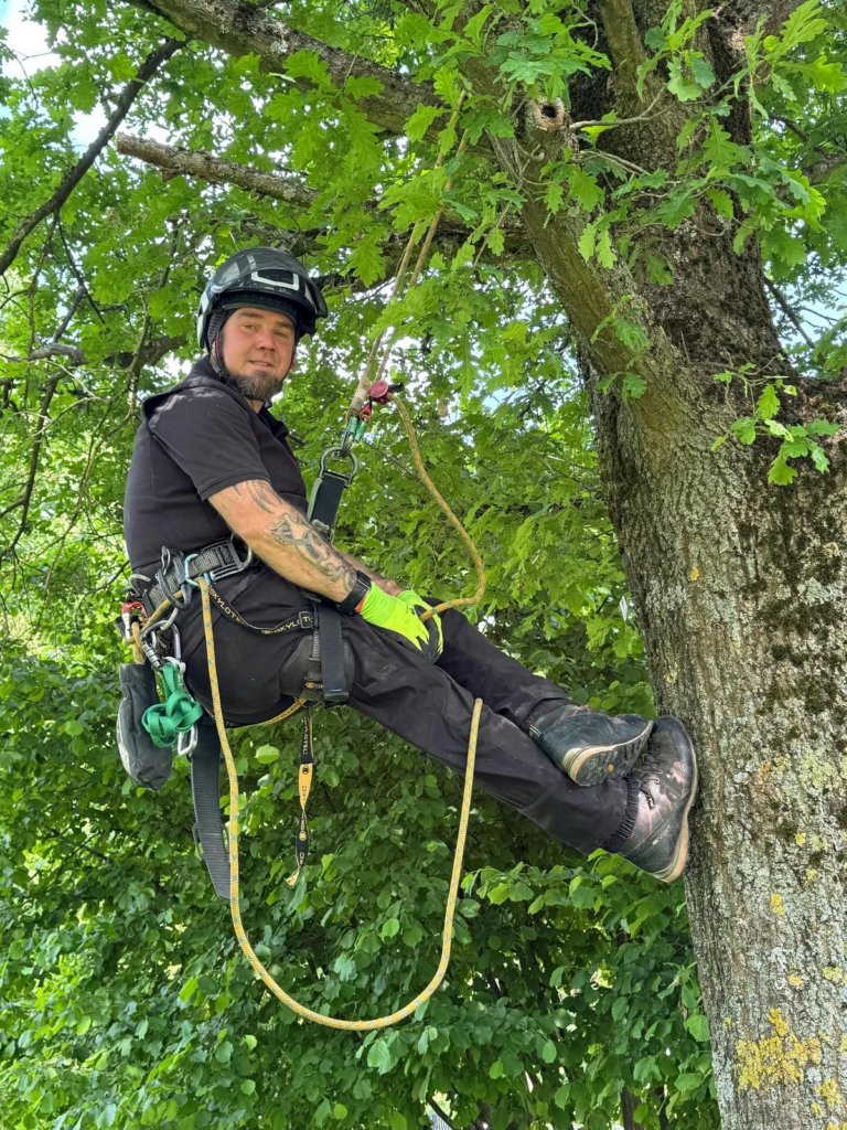 AZ Tree Doctor offers free consultations and project planning.