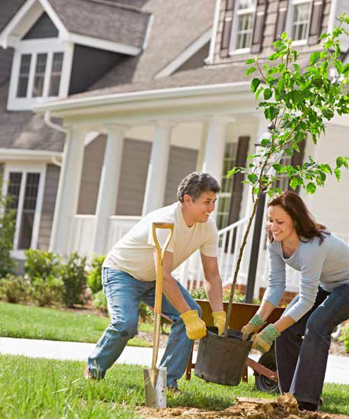 Dig a wide hole, not a deep one.