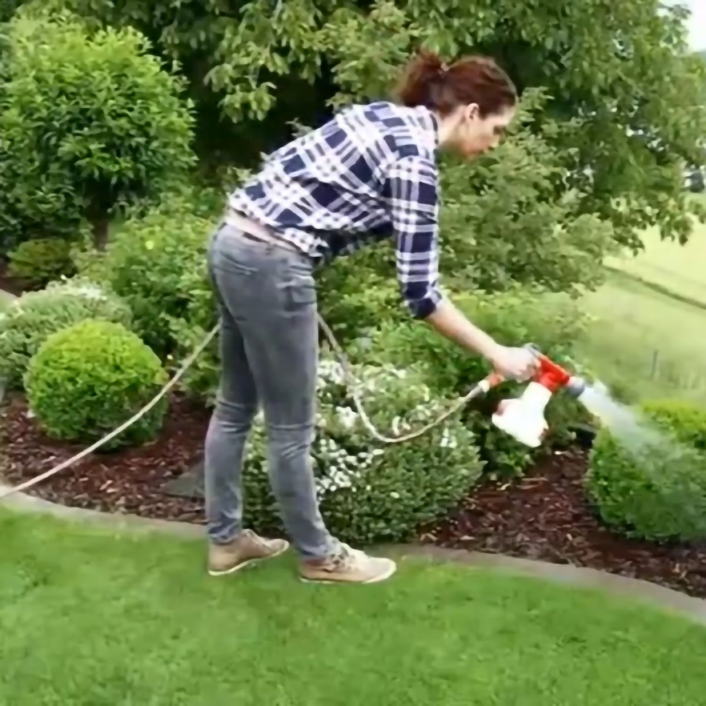 Water correctly before and after fertilizing.